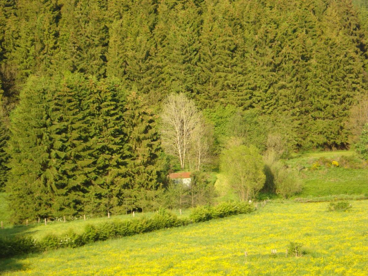 Location Panoramagreen Burg Reuland Εξωτερικό φωτογραφία